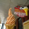 御津道の駅トマトアイス